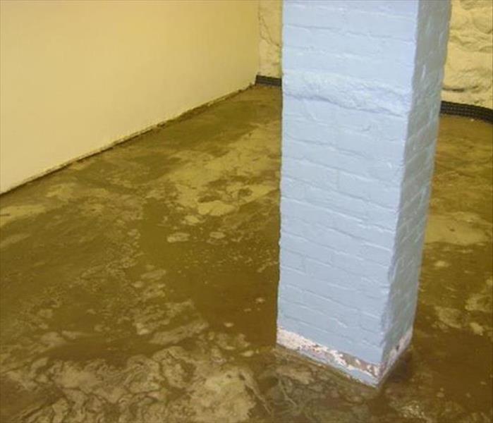 muddy and sewage on concrete basement floor