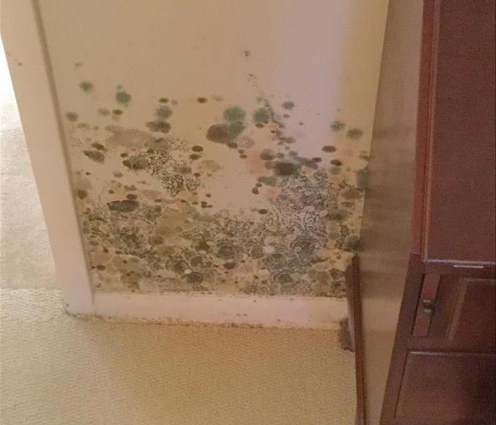 mold spots on a wall by furniture