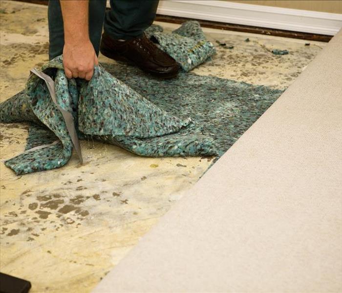 man pulling up carpet off of floor